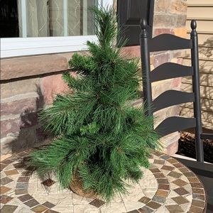 Faux evergreen tree with burlap base